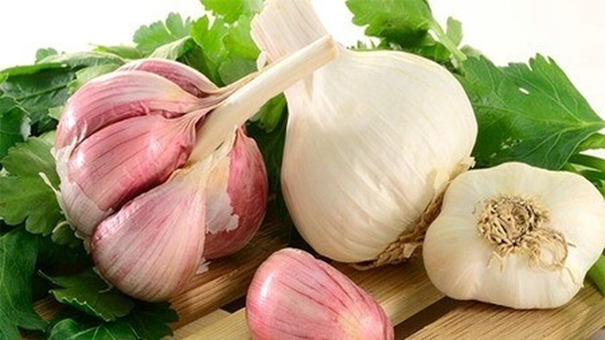 دفتر بهبود تغذیه جامعه وزارت بهداشت با انتشار گزارشی علمی، به بررسی یکی از باور‌های رایج درباره تأثیر مصرف سیر خام ناشتا بر کاهش وزن پرداخت.