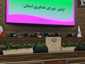 توزیع ۲۳ هزار تن نهاده دامی میان عشایر استان