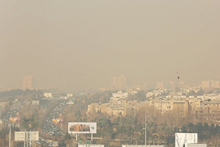 فقط ۳.۵درصد!