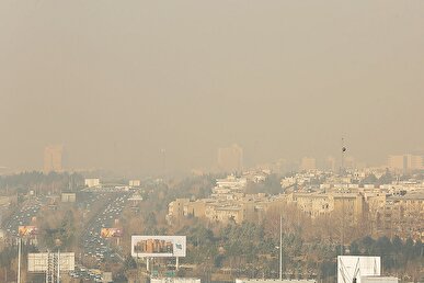 فقط ۳.۵درصد!