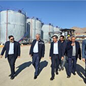 هم افزایی بخش دولتی و خصوصی در دستور کار است