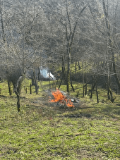 دستگیری فرد آتش‌افروز در جنگل‌های بندپی شرقی بابل