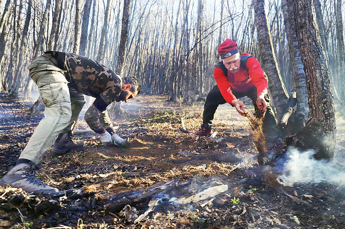 شاید از قدمت جنگل هیرکانی به‌عنوان یکی از ارزشمندترین و کهن‌ترین زیست‌بوم‌های جهان که از حدود ۲۵ تا ۵۰میلیون سال قبل بازمانده و نقشی رویایی به کره‌زمین داده گفتن، کمی تکراری باشد. اکوسیستمی که نام «موزه زنده طبیعت» بیشتر برازنده آن است، زیرا زیستگاه هزاران گونه گیاهی و جانوری و ذخیره‌ای بی‌نظیر از تنوع زیستی است. این زیست‌بوم در طول تاریخ با خطرات زیادی مواجه بوده اما هربار خودش توانسته با بازآفرینی راه زندگی را ادامه دهد. با این اوصاف و با ورود انسان‌ و هجوم بی‌محابایش، دیگر توانی برای مقاومت هیرکانی نمانده است.