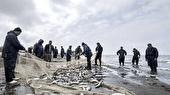 صید ماهیان استخوانی با رشد ۲۰ درصدی به ۸۵۵ تُن رسید