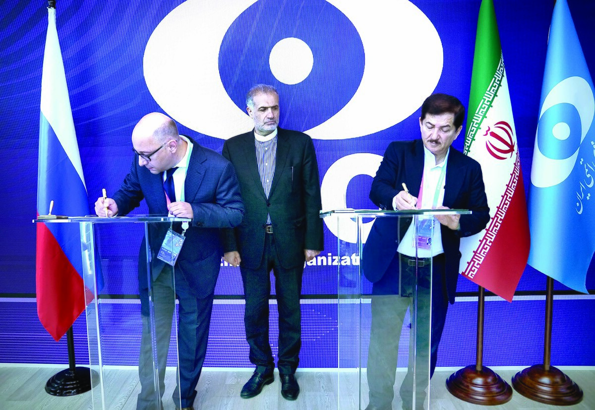 تولید ۲۰ هزارمگاوات برق هسته‌ای یکی از اولین برنامه‌های صنعت هسته‌ای کشور است که از زمان تاسیس این سازمان در دهه ۵۰ پیگیری می‌شود. پیروزی انقلاب اسلامی و برهم خوردن قراردادهای همکاری مشترک بین ایران و کشورهای اروپایی، جنگ تحمیلی هشت ساله،تحریم‌های آمریکا، عدم‌باوربرخی مسئولان کشور به توانایی‌های داخل، ترس شرکت‌های اروپایی از ممنوعیت همکاری با ایران و کمبود بودجه سبب شد تا این پروژه ملی سال‌ها به تاخیر افتد.