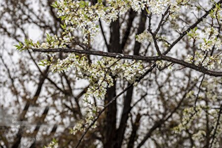 تداوم بارش نرمال در ایران تا پایان بهار