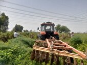 معدوم سازی کشت غیرقانونی خشخاش در دزفول