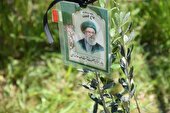 آغاز کاشت ۳۰۰۰ اصله نهال به یاد رهبر شهید در میاندرود