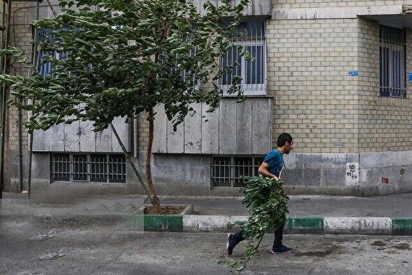 وزش باد شدید در تهران | افزایش دما از جمعه
