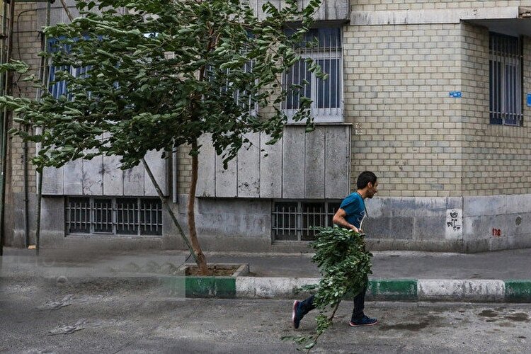 وزش باد شدید در تهران | افزایش دما از جمعه