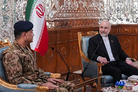 ایران مصمم به برقراری صلح در منطقه است