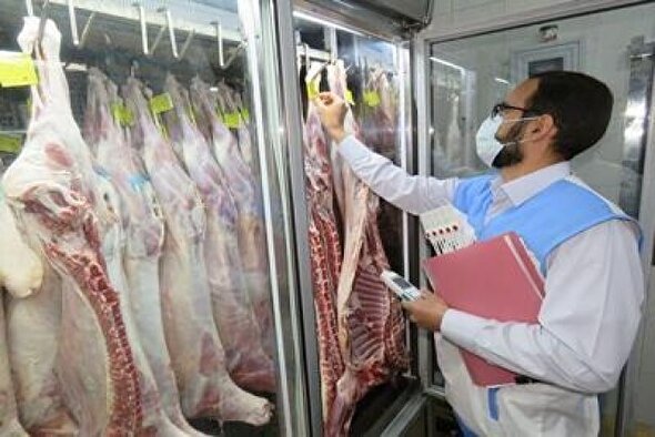 معدوم‌سازی ۸۰۰ کیلوگرم فرآورده خام دامی غیربهداشتی در آبادان