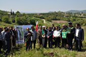 کاشت ۱۱۰۰ اصله نهال به مناسبت روز ارتش در مازندران