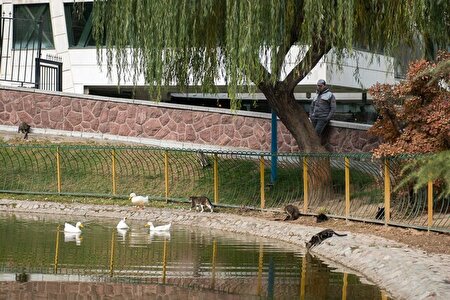 تهران از امروز خنک می‌شود