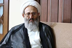 قدردانی آیت‌الله فقیهی از اقدامات تبیینی رسانه ملی