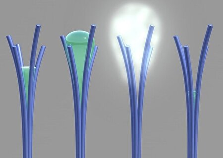 ارتقای پاکسازی آلاینده‌های آب توسط محققان ایرانی