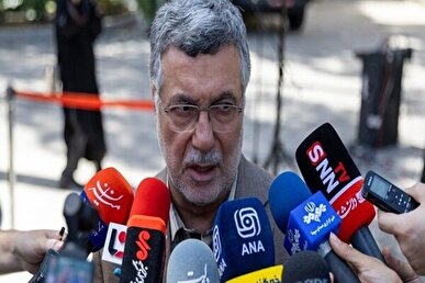 ظفرقندی: پوشش بیمه‌ای افزایش قیمت دارو باید تقویت شود