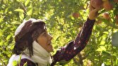 سریال «مادران» نماد عشق، ایثار و استقامت
