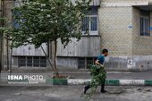 وزش باد شدید و احتمال طوفان گرد و خاک در پایتخت