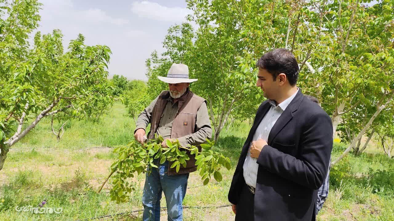 آغاز عصری نوین برای کشاورزی چهارمحال و بختیاری