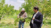 آغاز عصری نوین برای کشاورزی چهارمحال و بختیاری