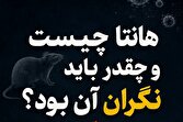 عکس نوشت | هانتا چیست و چقدر باید نگران آن بود؟
