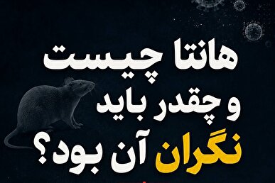 عکس نوشت | هانتا چیست و چقدر باید نگران آن بود؟