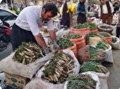 از باور درمانی تا نگرانی از برداشت بی‌رویه