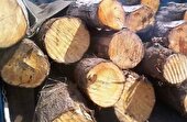کشف ۶ تن چوب جنگلی قاچاق در نوشهر