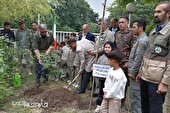 بیش از یک میلیون و ۳۵۰ هزار نهال در گلستان کاشته شد