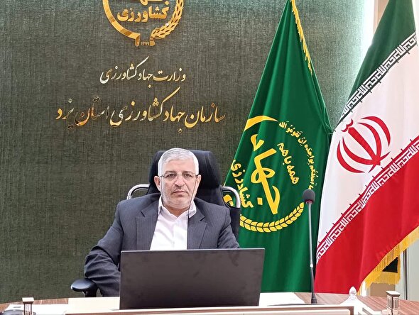 رویکردی اقتصادی برای بهره‌وری بیشتر