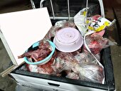 کشف ۳۷۸ کیلوگرم گوشت گراز در قصابی ساری