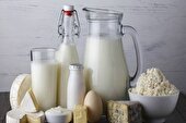 استفاده از لبنیات محلی خطر تب مالت دارد