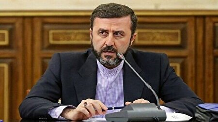 غریب‌آبادی خطاب به نماینده امارات: پنهان شدن پشت ادعاهای دروغ ممکن نیست،شما قربانی نیستید