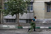 تداوم وزش باد شدید در تهران تا شنبه