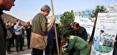 کاشت ۱۷۳ هزار نهال در پویش سرو ایران در خراسان رضوی