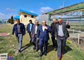افتتاح نیروگاه خورشیدی ۵۰ کیلوواتی در انبار نفت شهید بهفر منطقه اردبیل