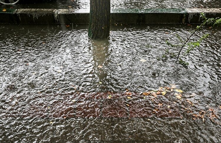 بارش باران در نیمه غربی کشور و دامنه‌های البرز