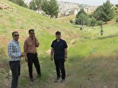 پیشگیری از آتش‌سوزی در پارک جنگلی سراب قنبر کرمانشاه با پاکسازی علف‌های هرز و خشک