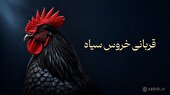 قربانی خروس سیاه؛ آداب، آثار و سفارش آنلاین