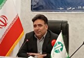 شرایط جنگل فندقلو برای تکثیر گوزن زرد ایرانی مطلوب است
