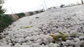 ببینید | تگرگ تابستانی