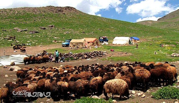 هم‌صدایی کوهرنگ و لالی برای تسهیل مسیر ایل
