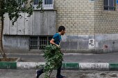 هشدار نسبت به وزش باد خیلی شدید در تهران