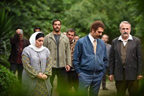 چراغ سبز تلویزیون به ادامه سریال‌های موفق 