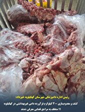 کشف و معدوم‌سازی ۳۰۰ کیلوگرم فرآورده دامی غیربهداشتی در کهگیلویه