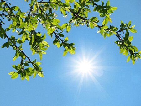 ورود توده هوای گرم به کشور / افزایش ۱۵ درجه‌‌ای دمای هوا در برخی از مناطق