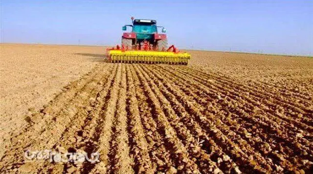 ۴۰ درصد اراضی کشاورزی خراسان شمالی زیر بار کشت پاییزه رفت

 