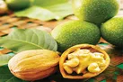 پاک کردن رنگ سیاه گردو از دست