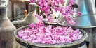بیش از ۹۴ واحد تولید عرقیجات و اسانس با ظرفیت تولید ۲۵۰ هزار تن در سال فعالند